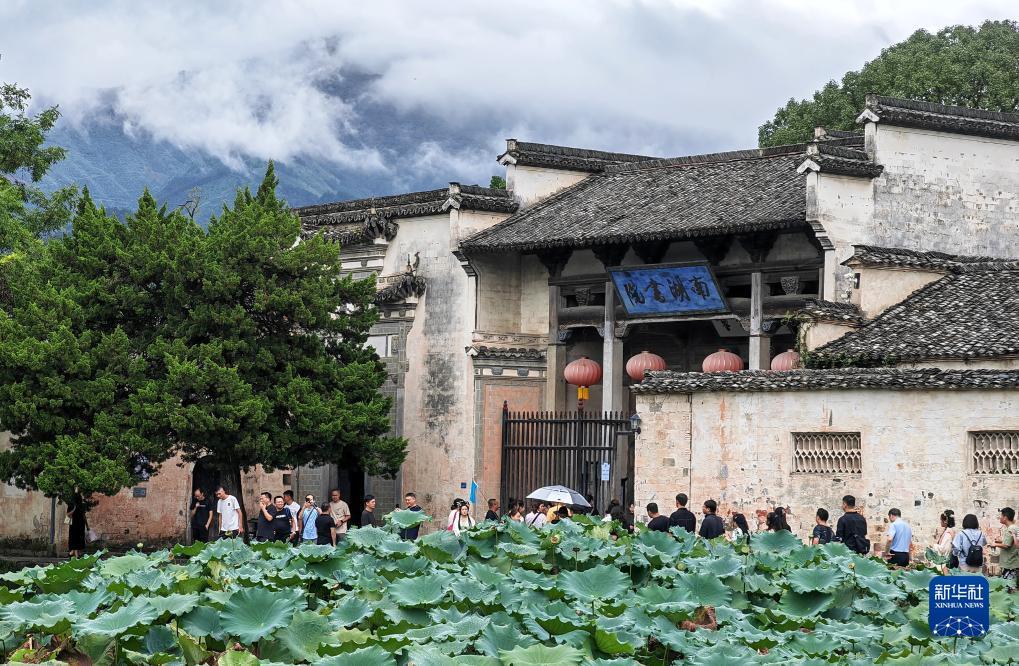 齐乐娱乐